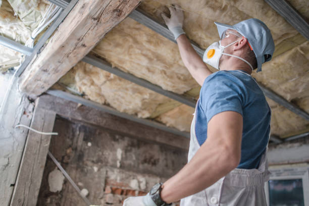 Best Affordable Insulation Services  in Albertson, NY