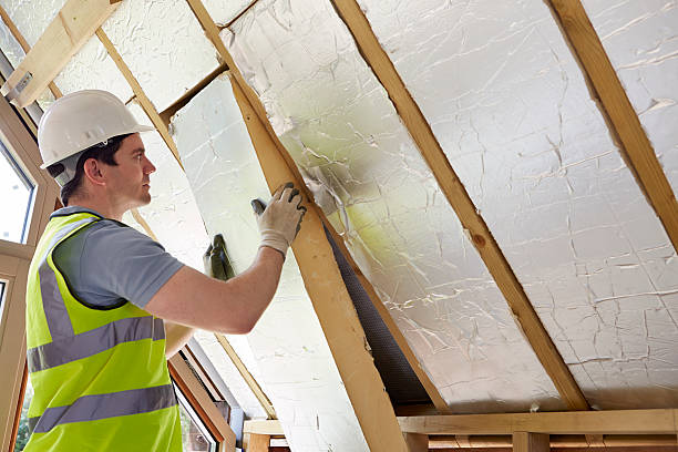 Best Professional Insulation Contractor  in Albertson, NY