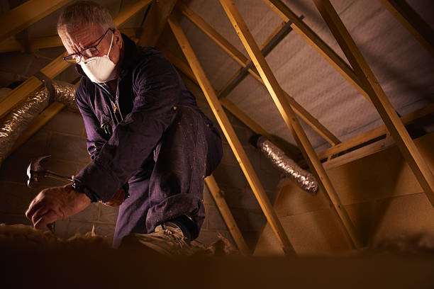 Best Insulation for New Construction  in Albertson, NY